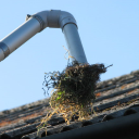 Image of Gutter Cleaning